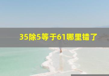 35除5等于61哪里错了