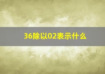 36除以02表示什么