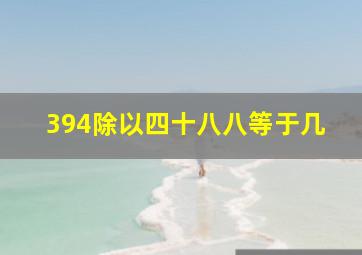 394除以四十八八等于几