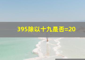 395除以十九是否=20