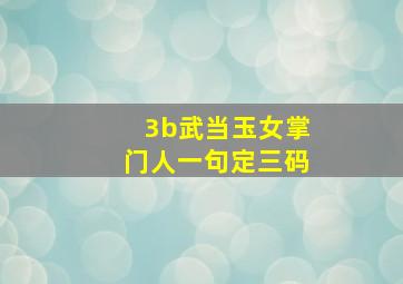 3b武当玉女掌门人一句定三码