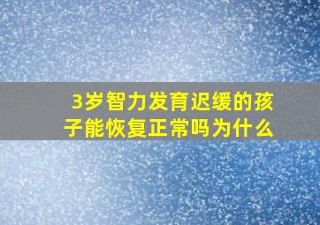 3岁智力发育迟缓的孩子能恢复正常吗为什么