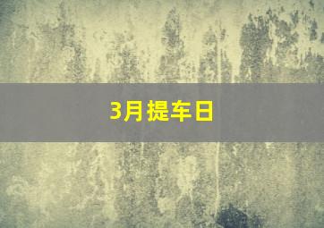 3月提车日