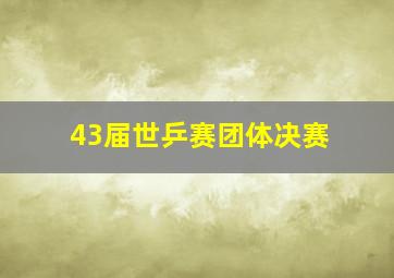 43届世乒赛团体决赛