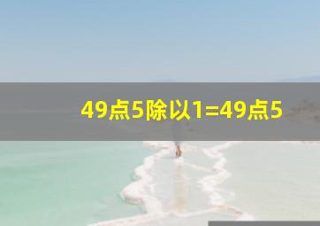 49点5除以1=49点5