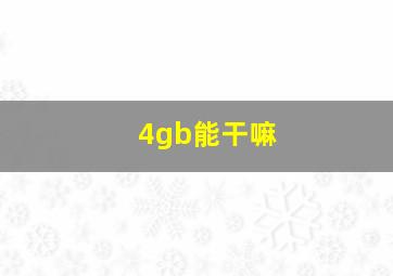 4gb能干嘛