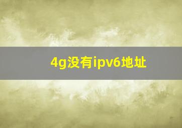 4g没有ipv6地址