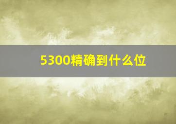 5300精确到什么位