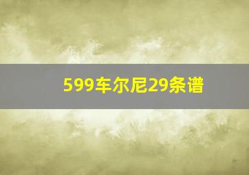 599车尔尼29条谱