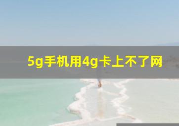 5g手机用4g卡上不了网