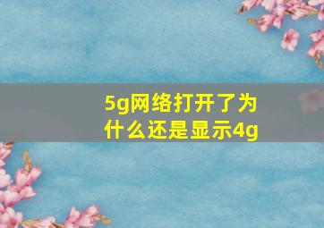 5g网络打开了为什么还是显示4g