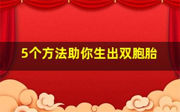 5个方法助你生出双胞胎