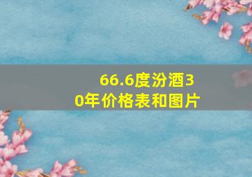 66.6度汾酒30年价格表和图片