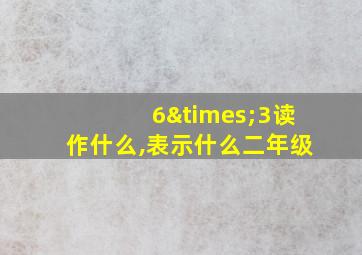 6×3读作什么,表示什么二年级