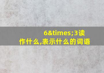 6×3读作什么,表示什么的词语