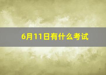 6月11日有什么考试