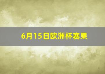 6月15日欧洲杯赛果