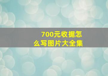 700元收据怎么写图片大全集