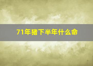 71年猪下半年什么命