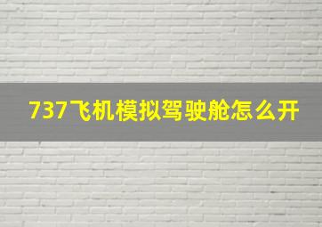 737飞机模拟驾驶舱怎么开