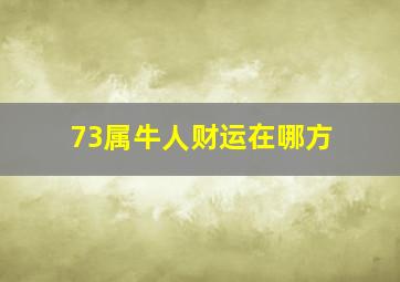 73属牛人财运在哪方