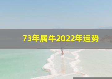 73年属牛2022年运势