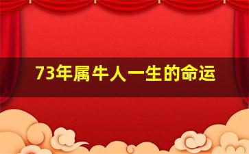 73年属牛人一生的命运