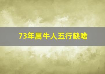 73年属牛人五行缺啥