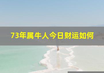 73年属牛人今日财运如何