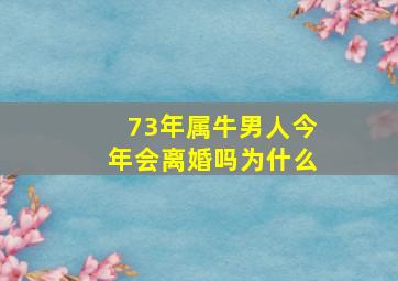 73年属牛男人今年会离婚吗为什么