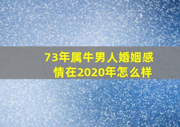 73年属牛男人婚姻感情在2020年怎么样