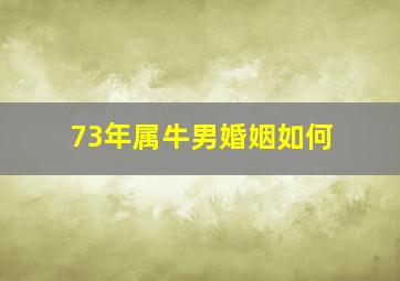 73年属牛男婚姻如何