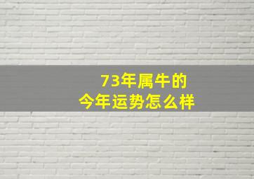 73年属牛的今年运势怎么样