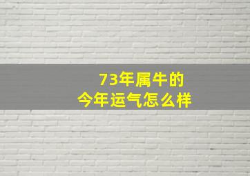 73年属牛的今年运气怎么样