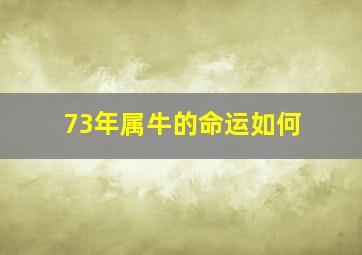 73年属牛的命运如何