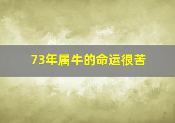 73年属牛的命运很苦