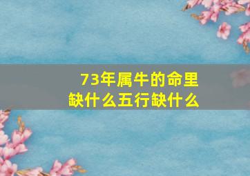 73年属牛的命里缺什么五行缺什么