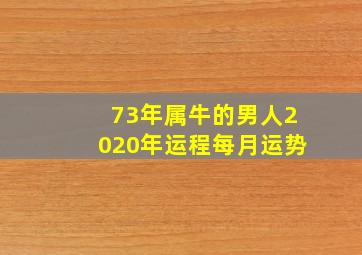 73年属牛的男人2020年运程每月运势