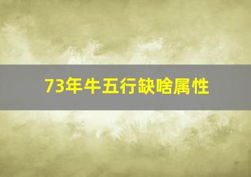 73年牛五行缺啥属性