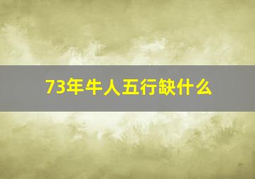 73年牛人五行缺什么