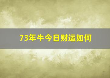 73年牛今日财运如何