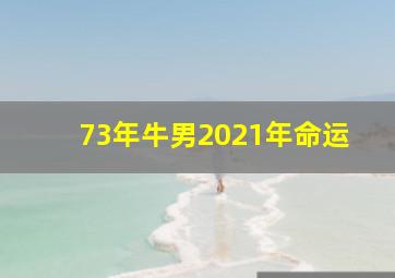 73年牛男2021年命运