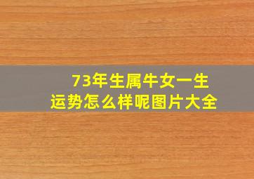 73年生属牛女一生运势怎么样呢图片大全