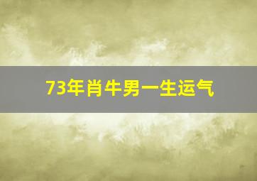 73年肖牛男一生运气