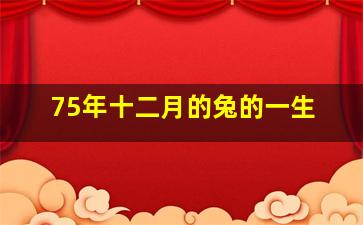 75年十二月的兔的一生