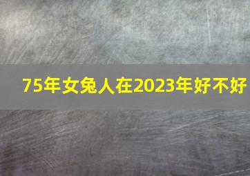 75年女兔人在2023年好不好