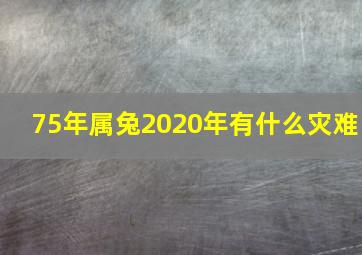 75年属兔2020年有什么灾难