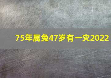 75年属兔47岁有一灾2022