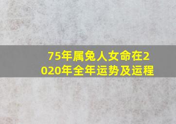 75年属兔人女命在2020年全年运势及运程