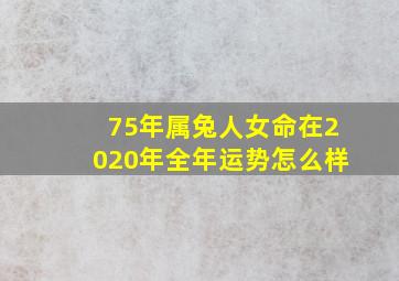 75年属兔人女命在2020年全年运势怎么样